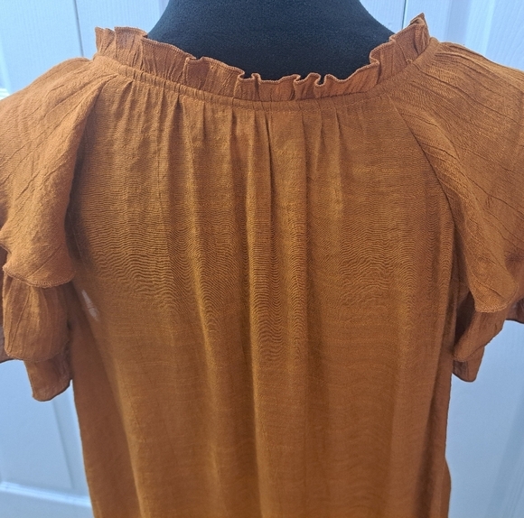 Nanette Lepore Semi Sheer Tiered Ruffle Sleeve Tunic/Top Size L - Picture 5 of 14